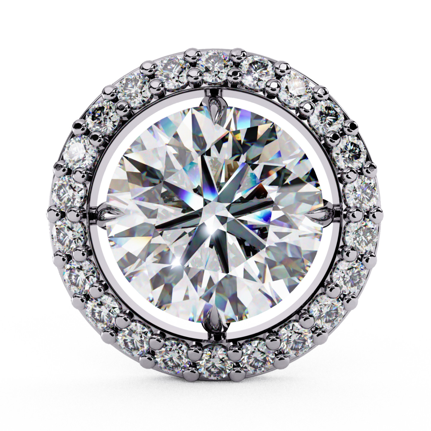 Puces d'oreilles halo libre