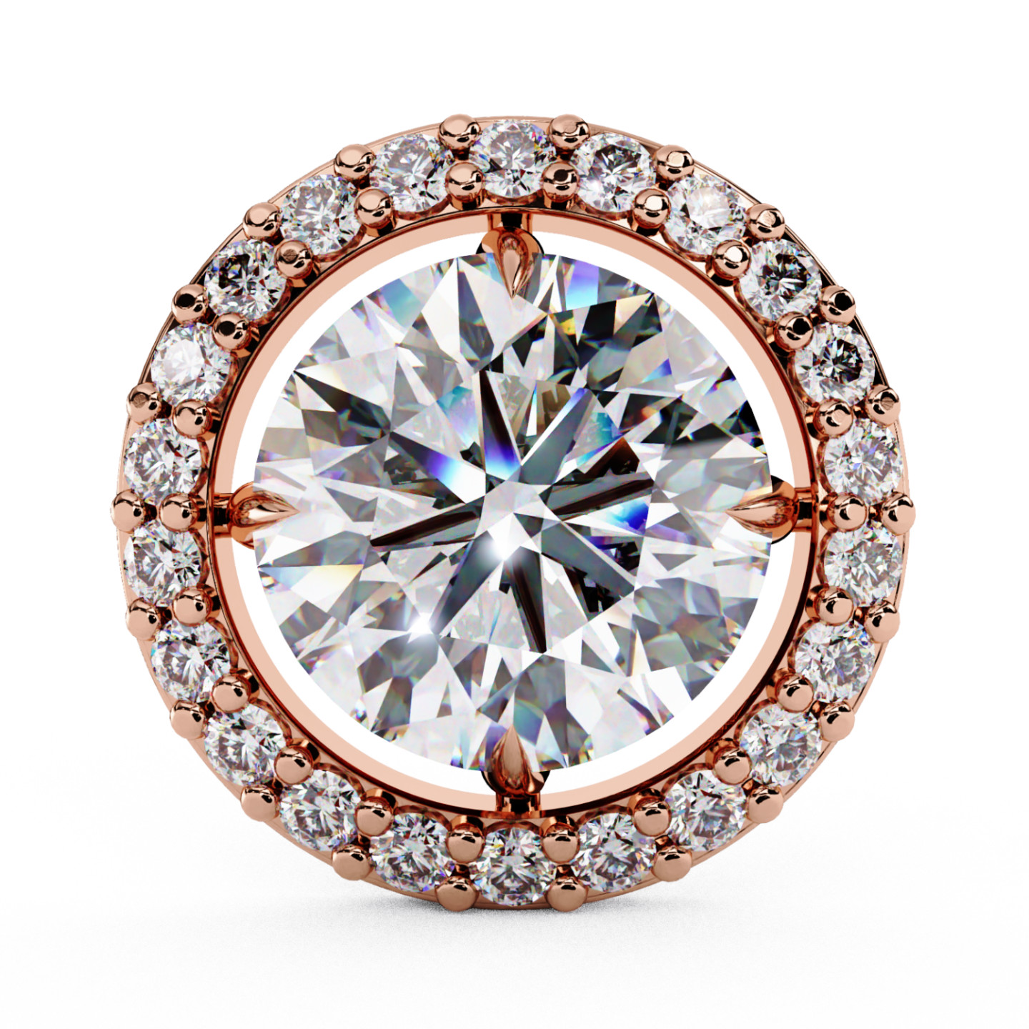 Puces d'oreilles halo libre