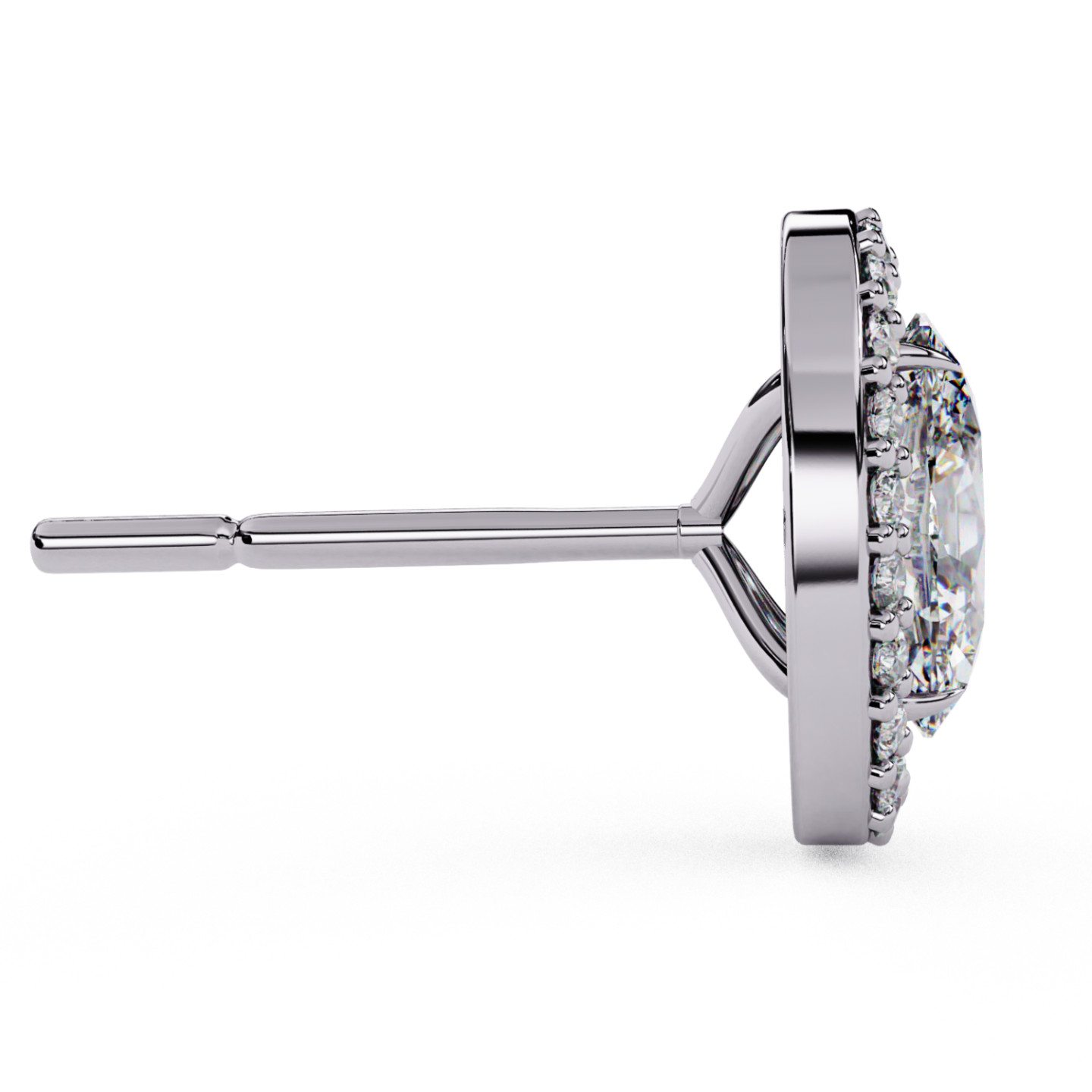 Puces d'oreilles halo libre