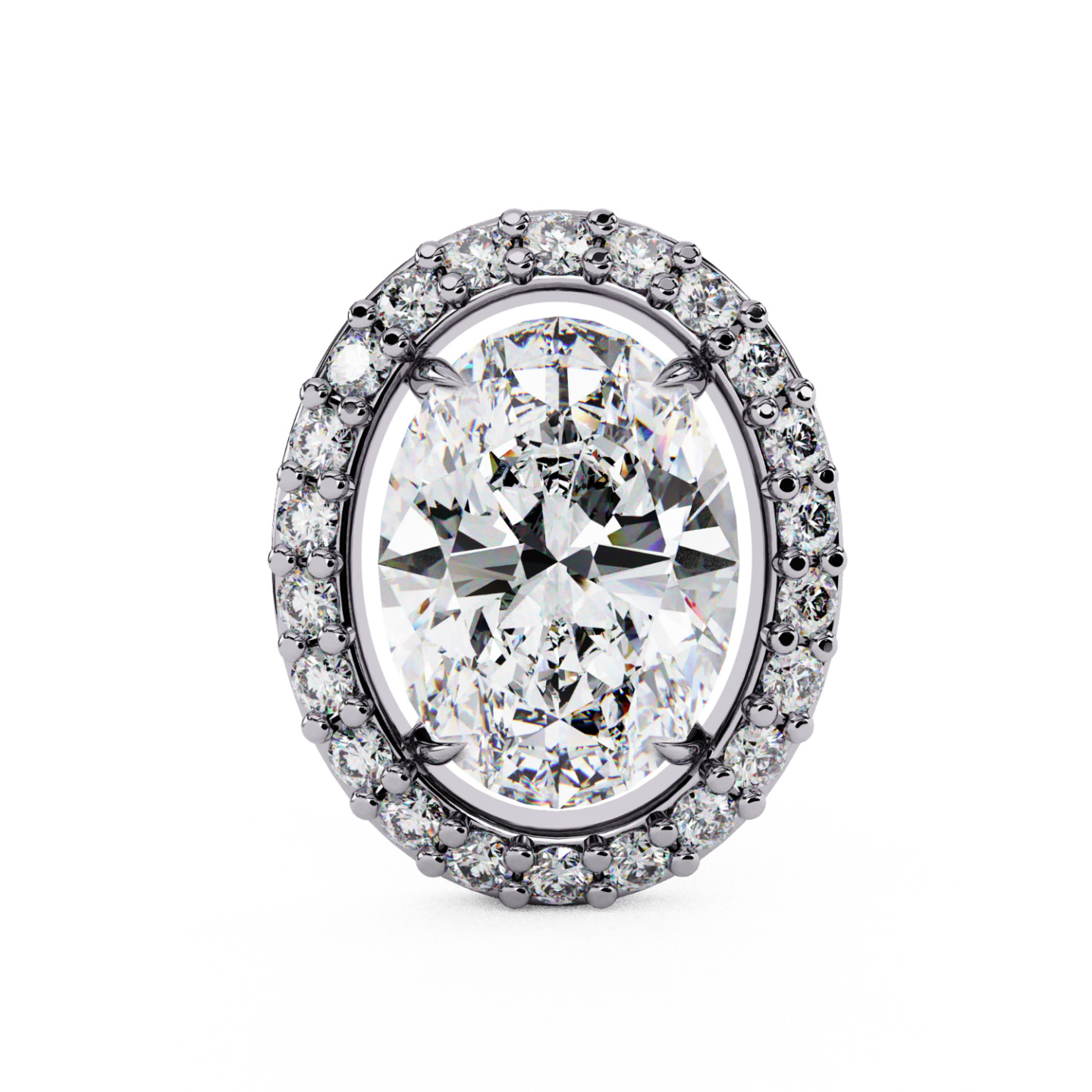 Puces d'oreilles halo libre