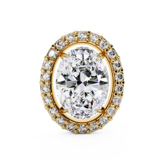 Puces d'oreilles halo libre