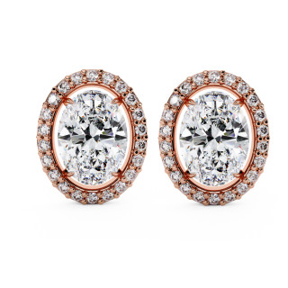 Puces d'oreilles halo libre