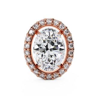 Puces d'oreilles halo libre