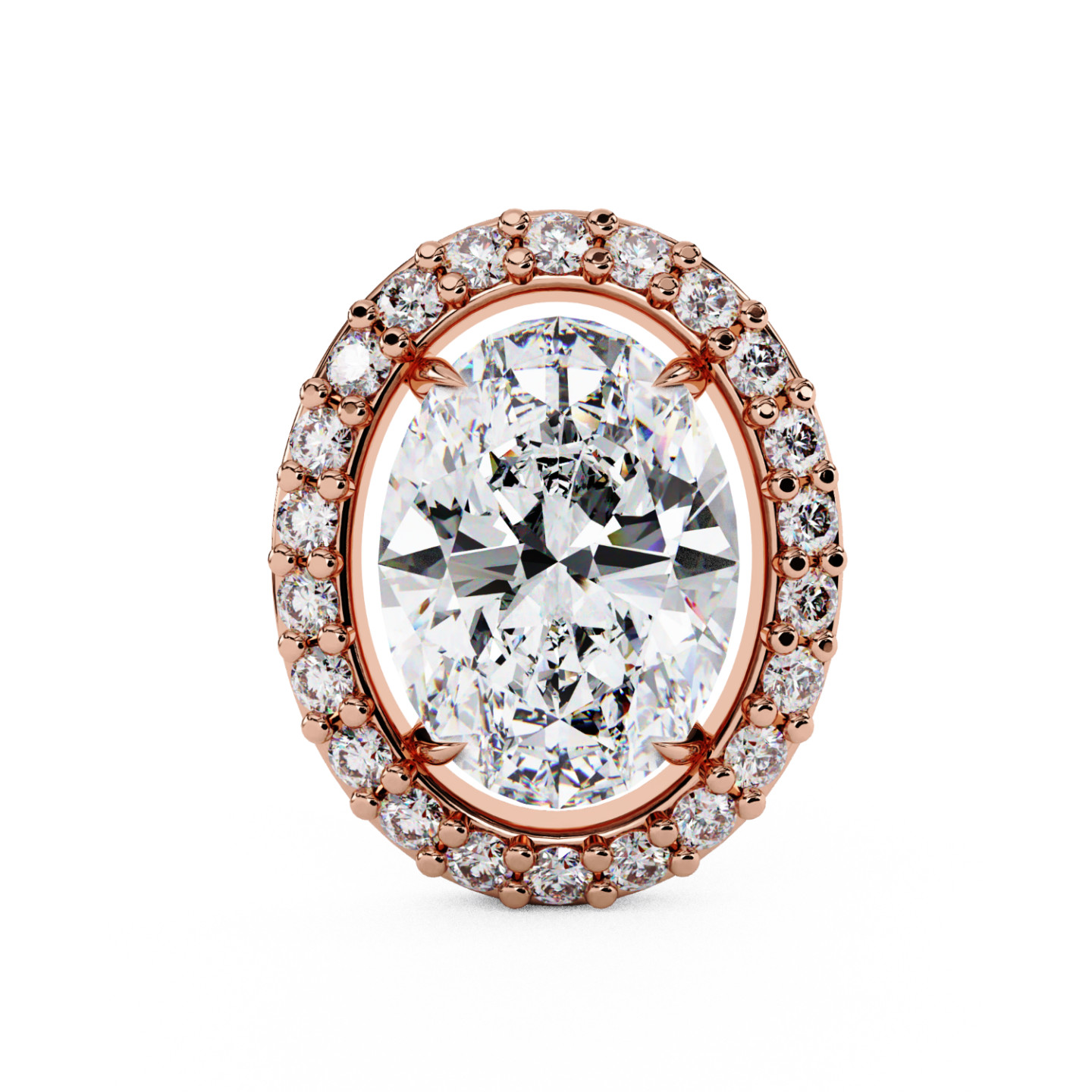 Puces d'oreilles halo libre