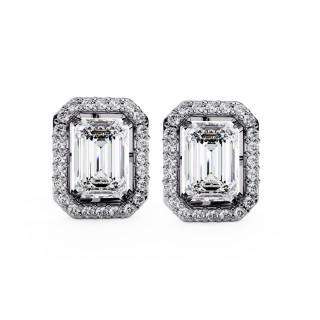 Puces d'oreilles halo libre